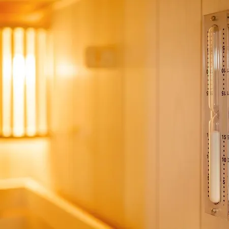 Heringsmoewe-in-der-duenenlust 朗格奥