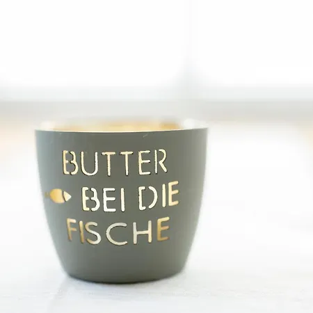 Heringsmoewe-in-der-duenenlust *